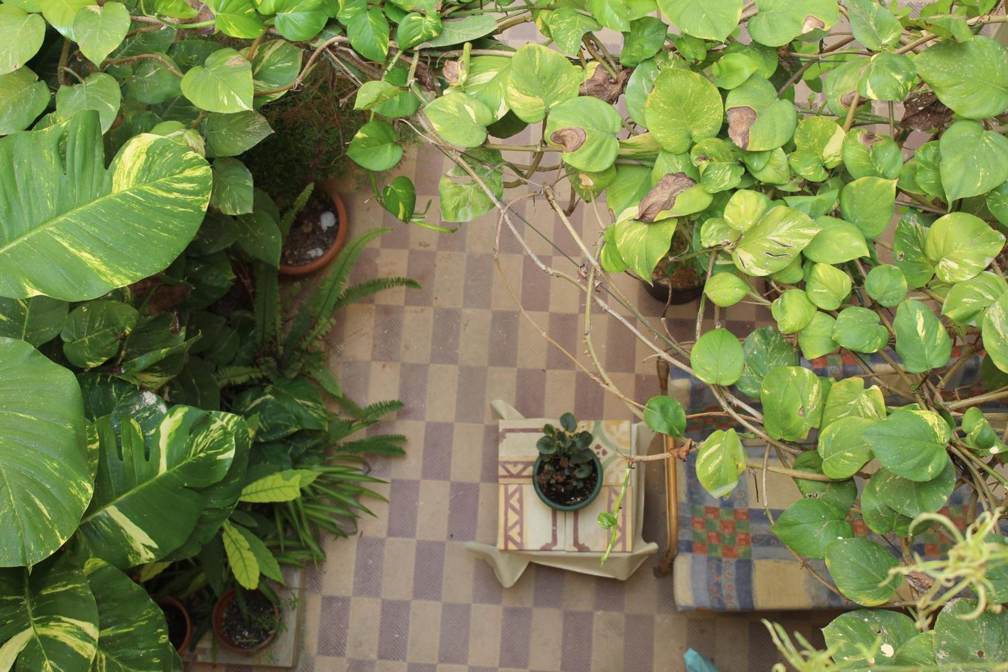 Maria Townhouse Heart Of Victoria B&B 外观 照片